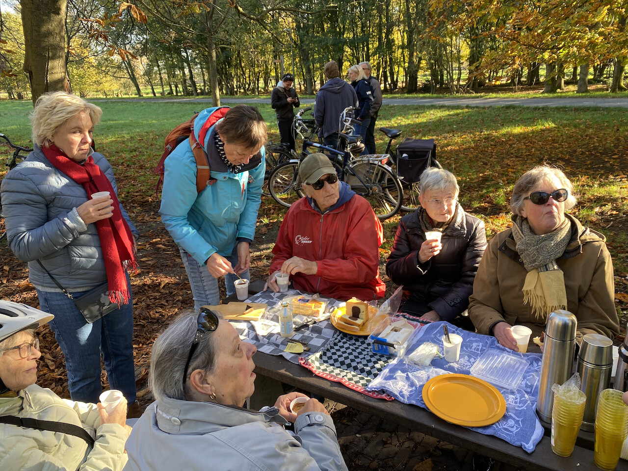 Picknic bij het Laarzenbos